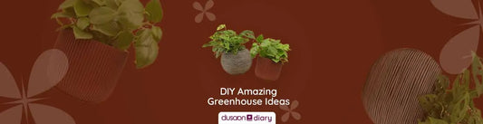 6 DIY Amazing Indoor Greenhouse Ideas