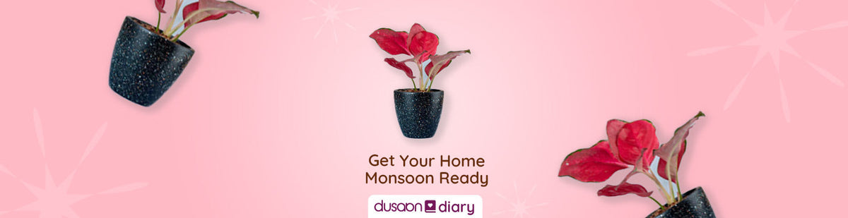 5 Ways To Get Your Home Monsoon Ready - Dusaan