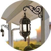 Buy Wall Hooks for Plants in India at Best Price | Dusaan