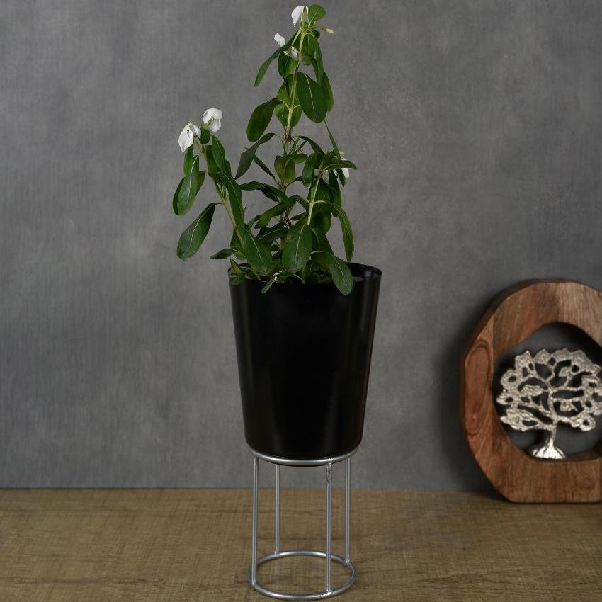 Metal Riser Planter | Black | Plant Not Included