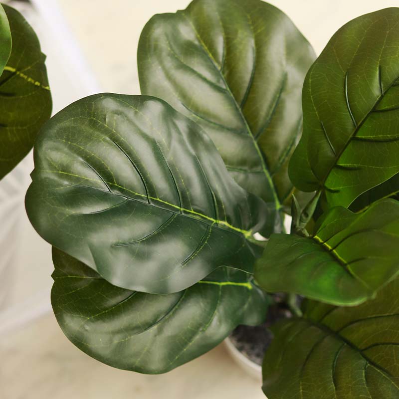 The Cameroon | Set of 2 Artificial Fiddle Leaf Plant in White Pot