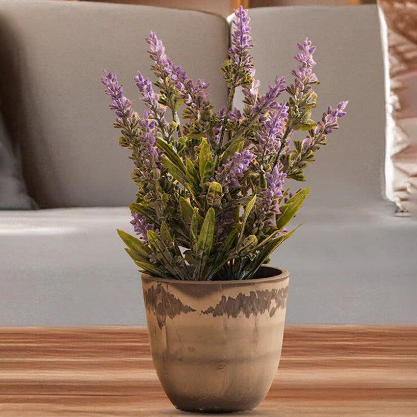 Sophisticated Taupe FRP Dark Grey Pots | Set of 6