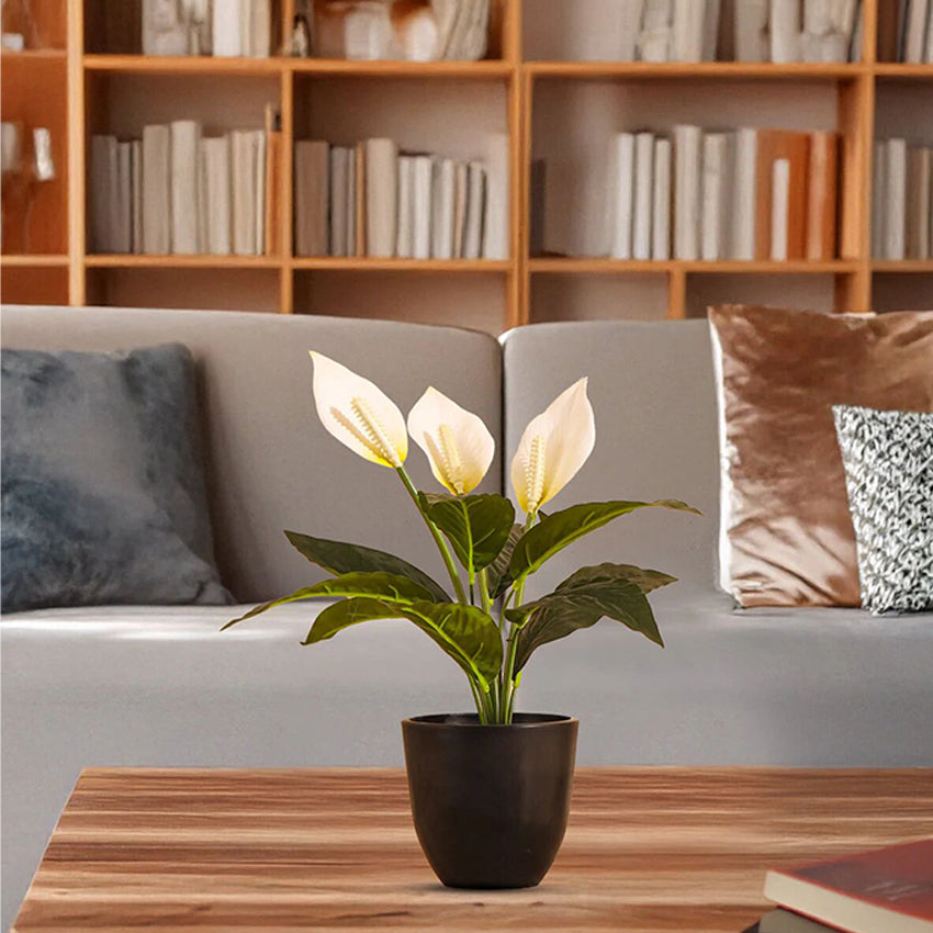 Elegant Black FRP Pots with Modern Design Without Plant | Set of 4 | 5 x 5 inches