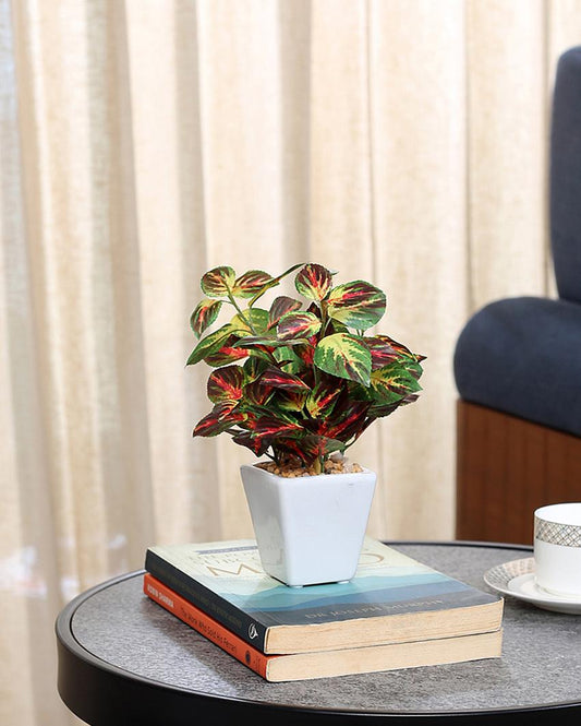 Ramo Wandering Jew Artificial Bonsai Plant with Ceramic Pot | 7 inches