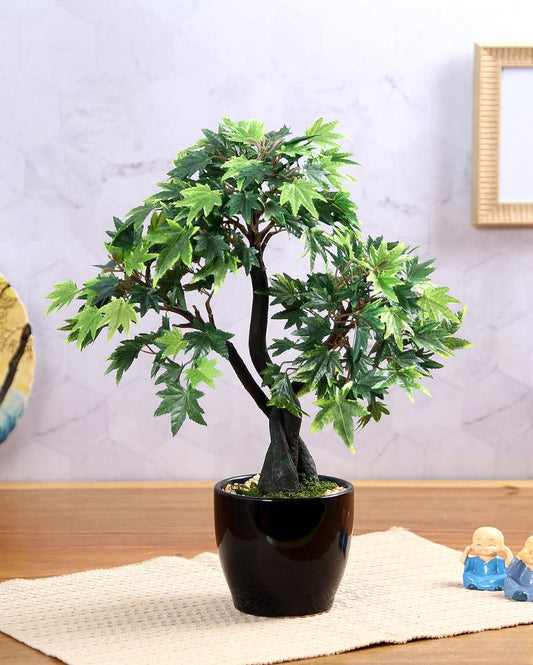 Japanese Maple Artificial Bonsai Plant with Ceramic Pot | 15 inches
