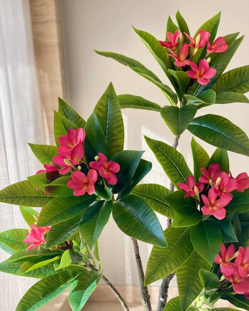 Artificial Frangipani Puce Plant | Pot not included