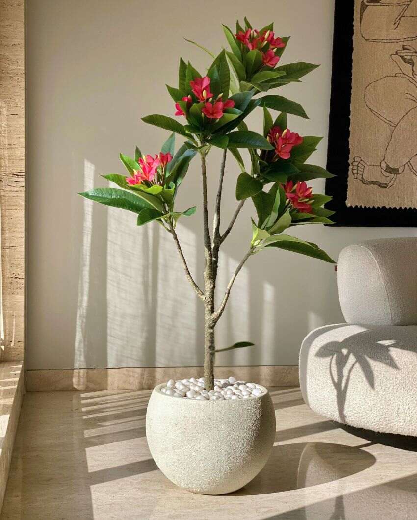 Artificial Frangipani Puce Plant | Pot not included