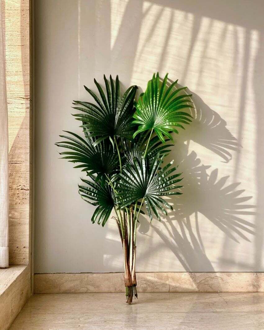 Artificial Palmetto Plant | Pot not included