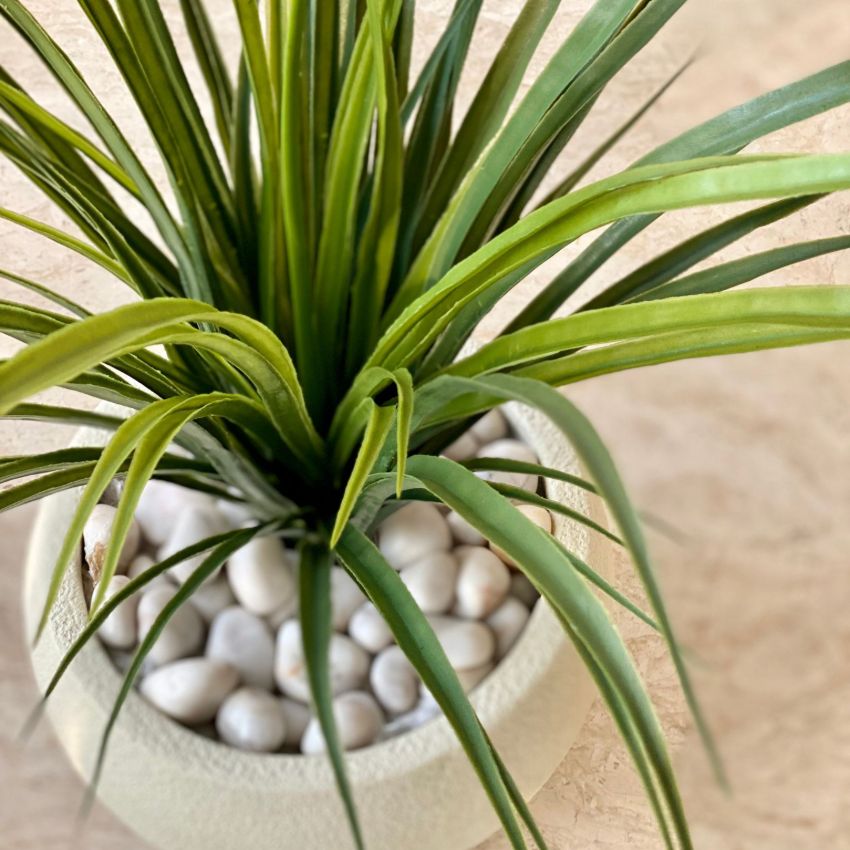 Elegant Design Green Artificial Dragon Plant Without Pot
