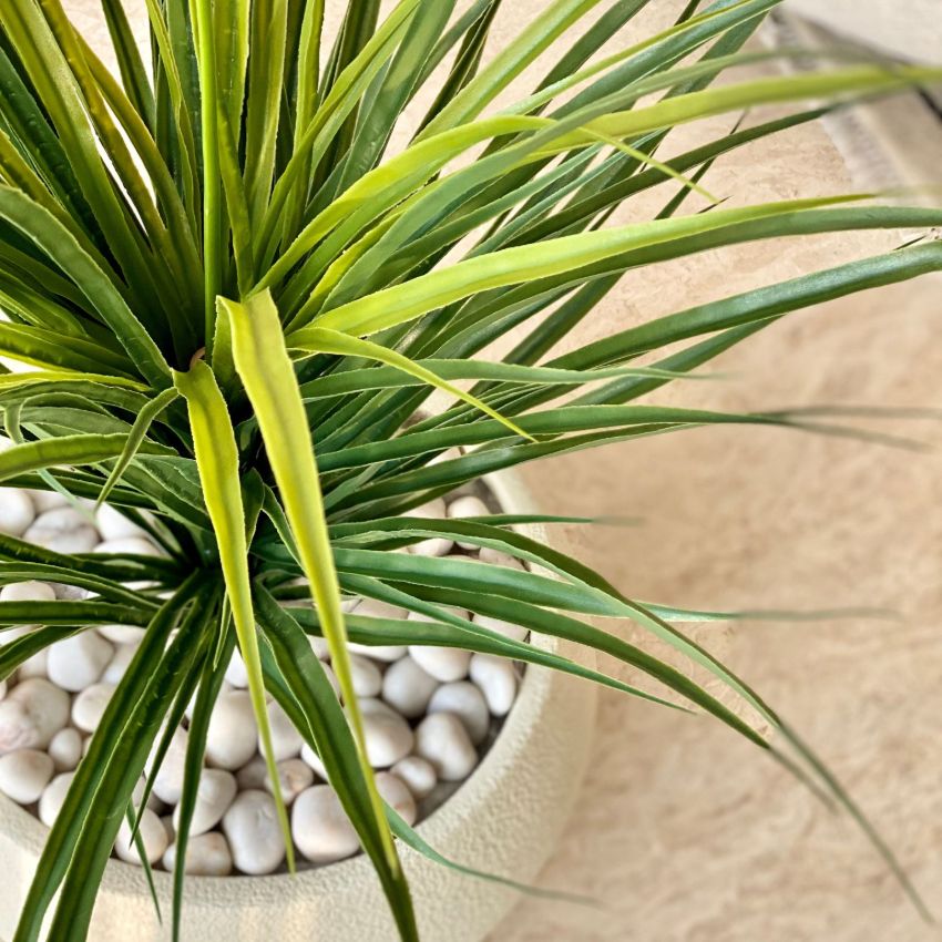 Elegant Design Green Artificial Dragon Plant Without Pot