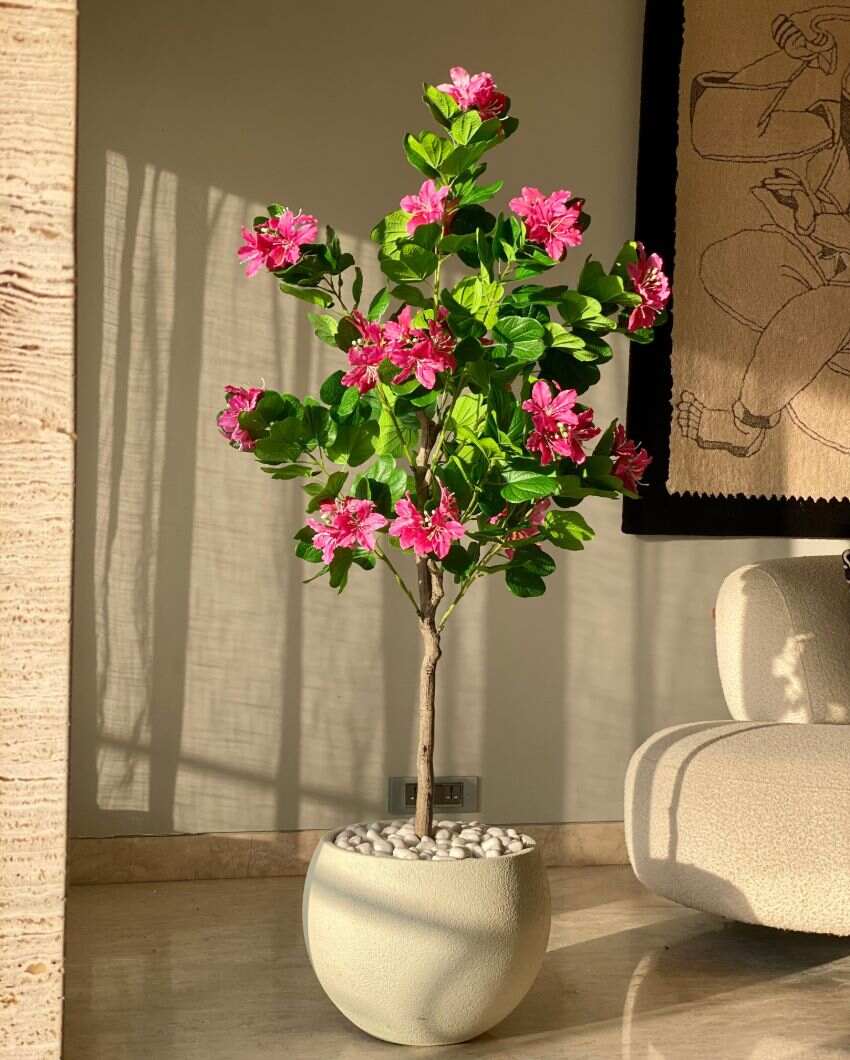 Artificial Blush Bauhinia Plant | 5 Feet | Pot not included