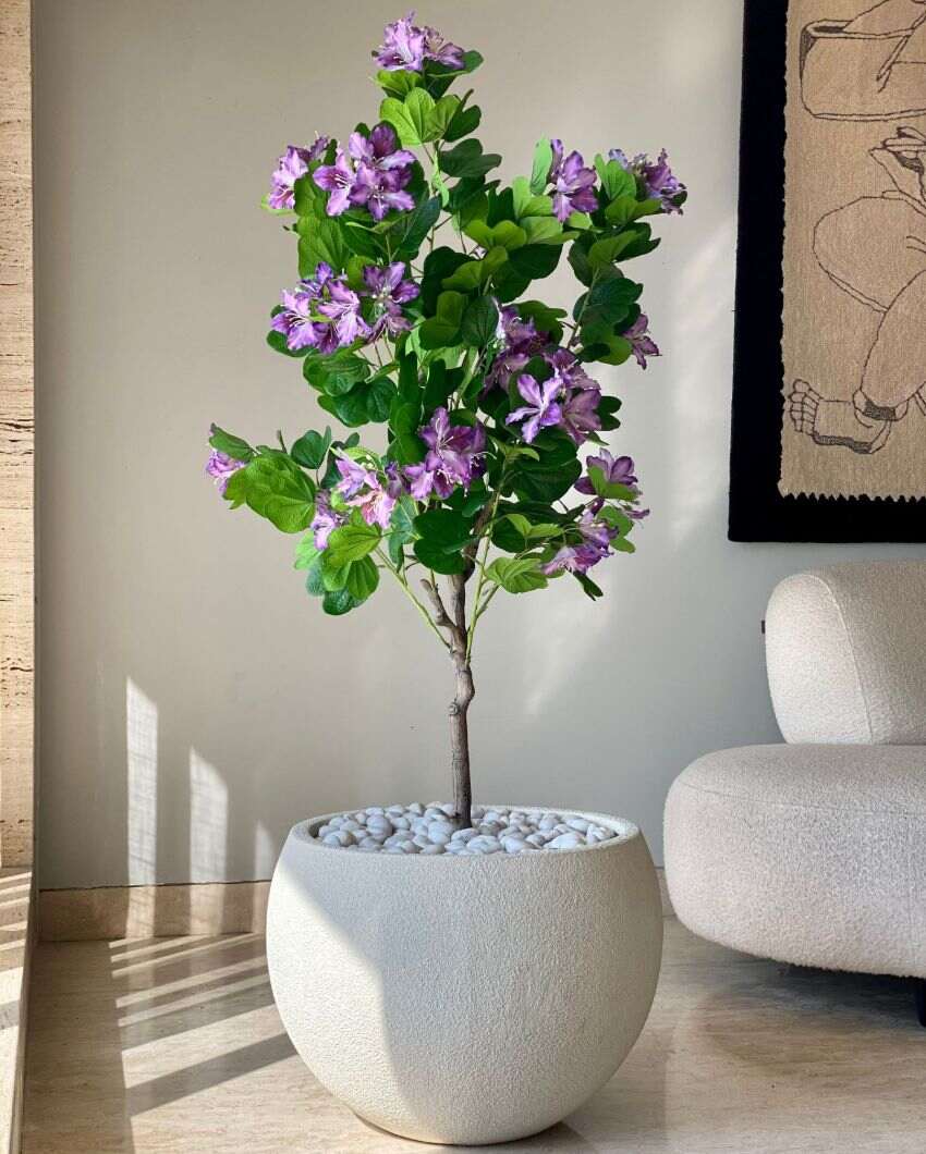Artificial Lilac Bauhinia Plant | 5 Feet | Pot not included