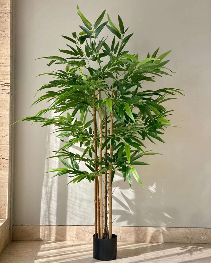 Artificial Japanese Bamboo Plant | 5 Feet | Pot not included