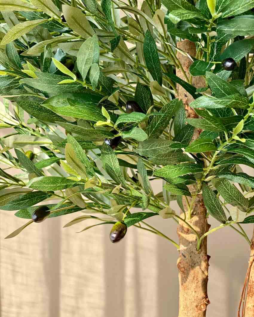 Artificial Olive Allure Plant | 5 Feet | Pot not included