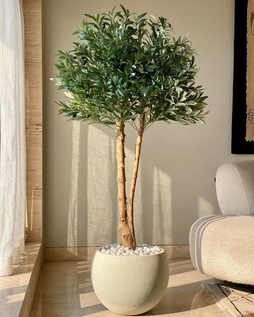 Artificial Olive Allure Plant | 5 Feet | Pot not included
