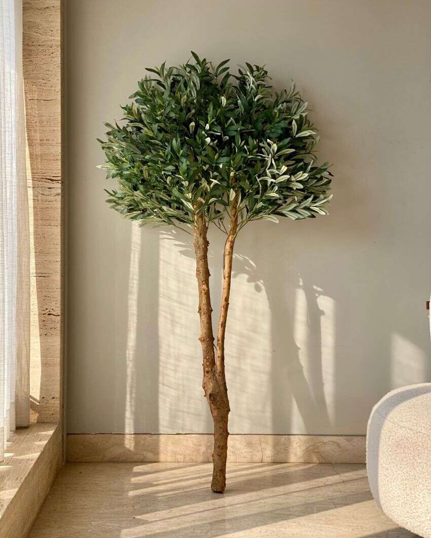 Artificial Olive Allure Plant | 5 Feet | Pot not included