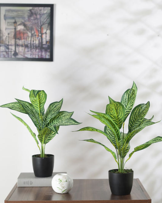 Artificial Jale Croton Plant Mini Bush With Black Pot | Set Of 2 | 20 Inches