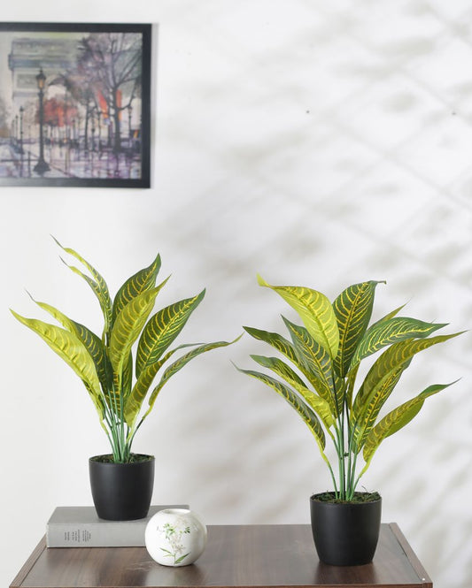 Artificial Yellow Croton Plant Mini Bush With Black Pot | Set Of 2 | 20 Inches