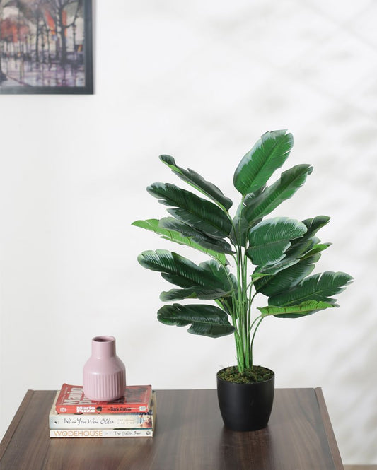 Artificial Banana Green White Plant With Black Pot For Interior Decor | 24 Inches