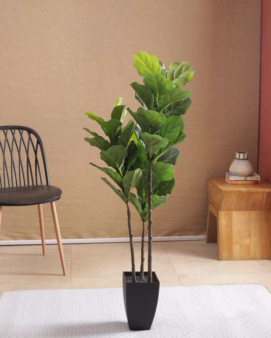 Fiddle Leaf Fig Artificial Plant With Black Pot | 47 Inches