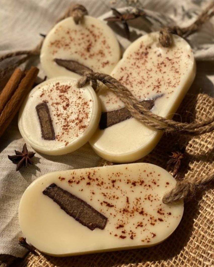 Warm & Inviting Cinnamon Vanilla Air Freshener Organic Wax Sachet | Set of 2