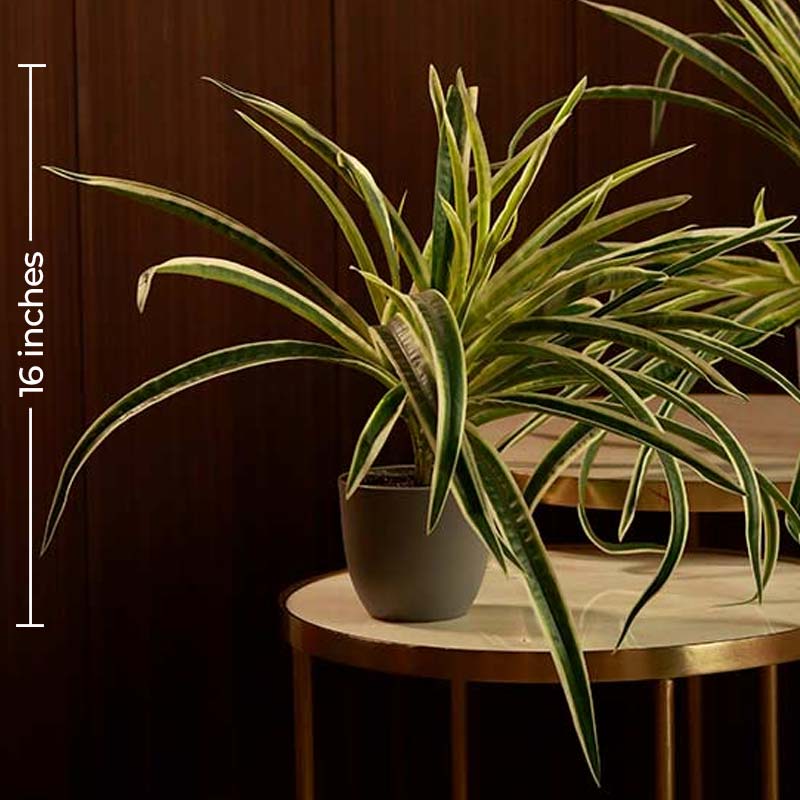 The Hawaiian | Artificial Spider Plant With Pots | 15 inch | set of 2