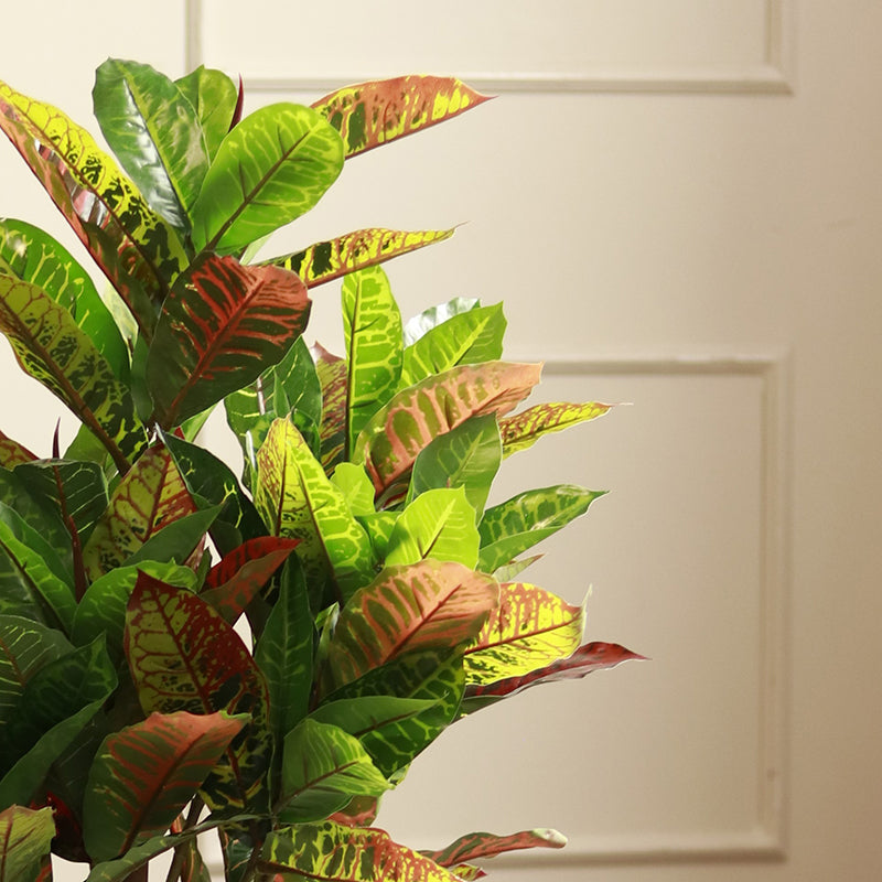 The Kusai | Croton Artificial Plant | 4ft