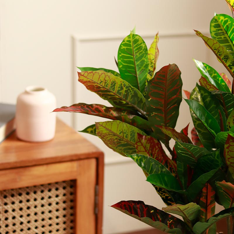 The Kusai | Croton Artificial Plant | 4ft