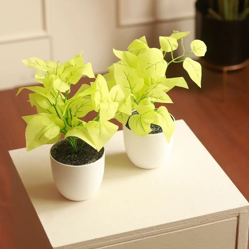 The Devil's Ivy | Artificial Golden Pothos Set of 2 White
