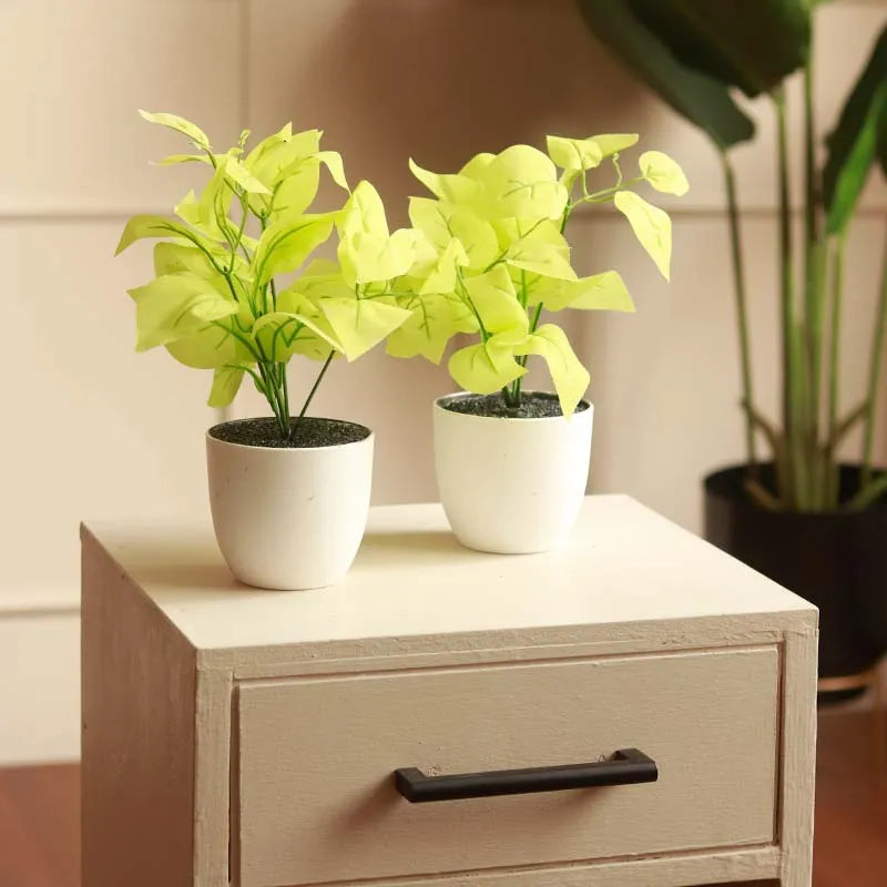 The Devil's Ivy | Artificial Golden Pothos Set of 2 White