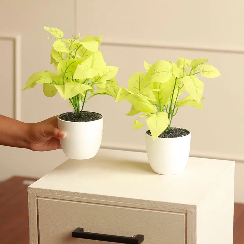 The Devil's Ivy | Artificial Golden Pothos Set of 2 White