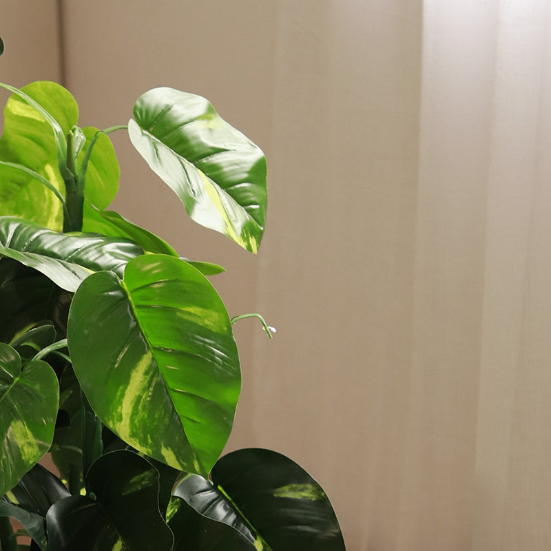 The Moz | Artificial Money Plant 3 ft. tall