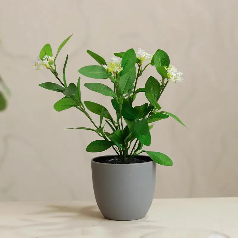 Eucalyptus Plants in Pot | Set of 2 | Multiple Colors Grey