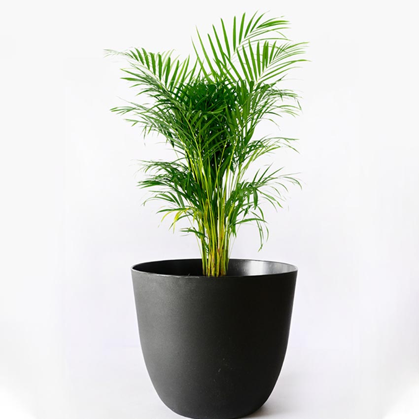 Modern Stackable Matte Black Round Pots Without Plant | 7 x 4 inches