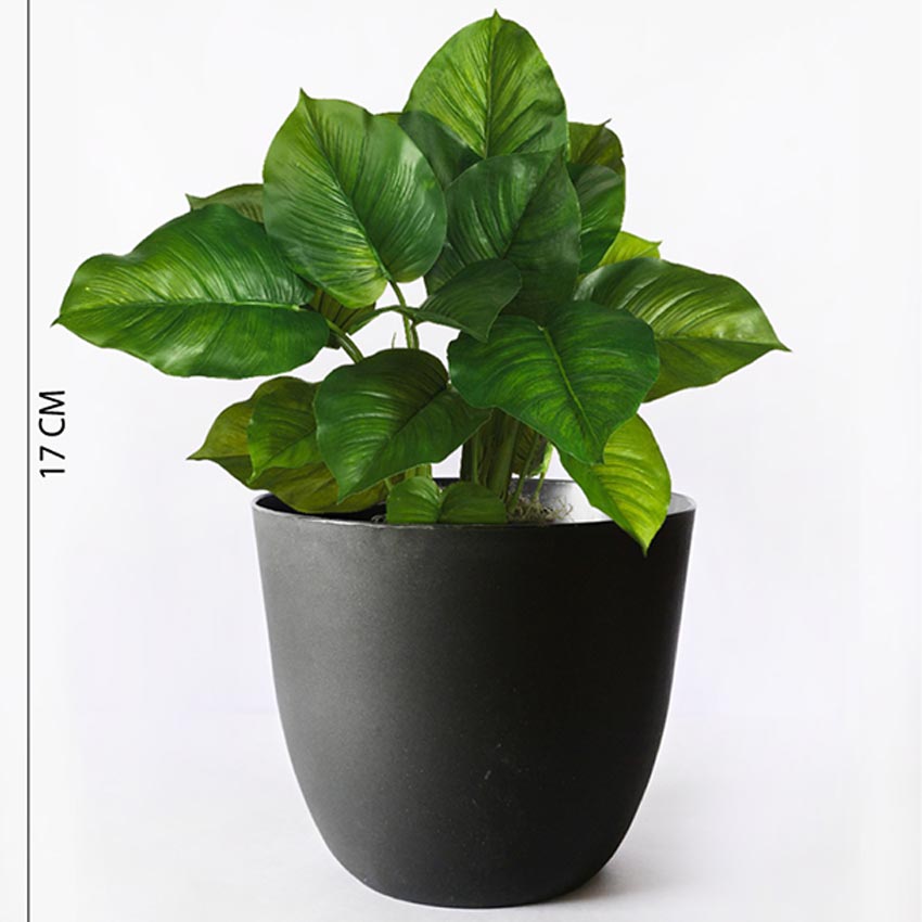 Modern Stackable Matte Black Round Pots Without Plant | 7 x 4 inches