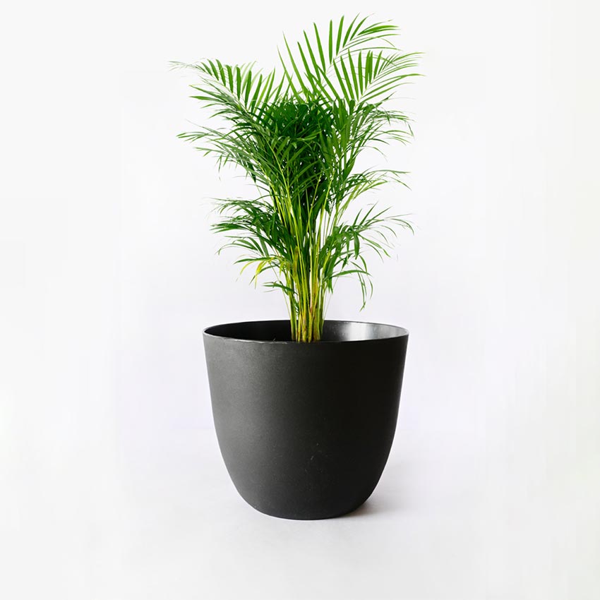 Modern Stackable Matte Black Round Pots Without Plant | 7 x 4 inches
