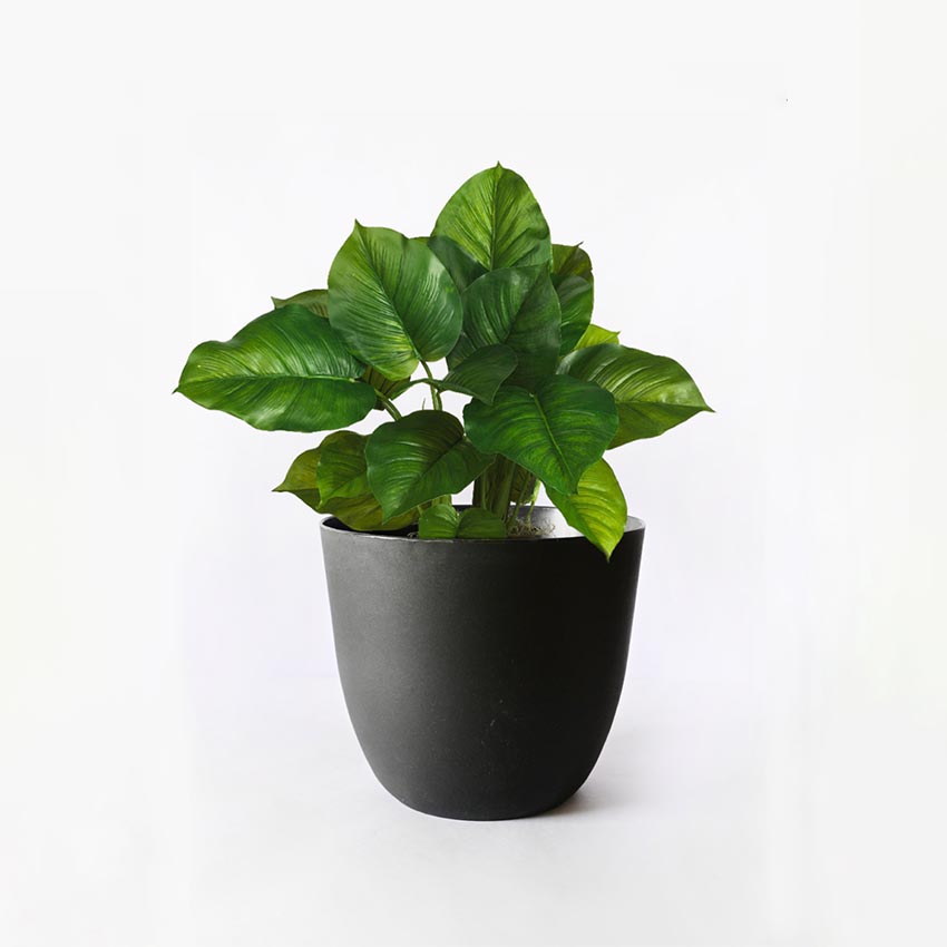 Modern Stackable Matte Black Round Pots Without Plant | 7 x 4 inches