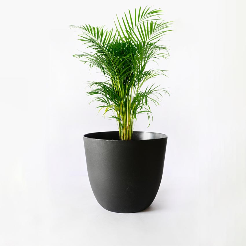 Modern Stackable Matte Black Round Pots Without Plant | 7 x 4 inches