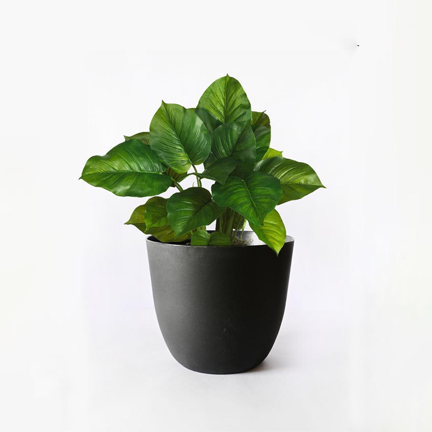 Modern Stackable Matte Black Round Pots Without Plant | 7 x 4 inches
