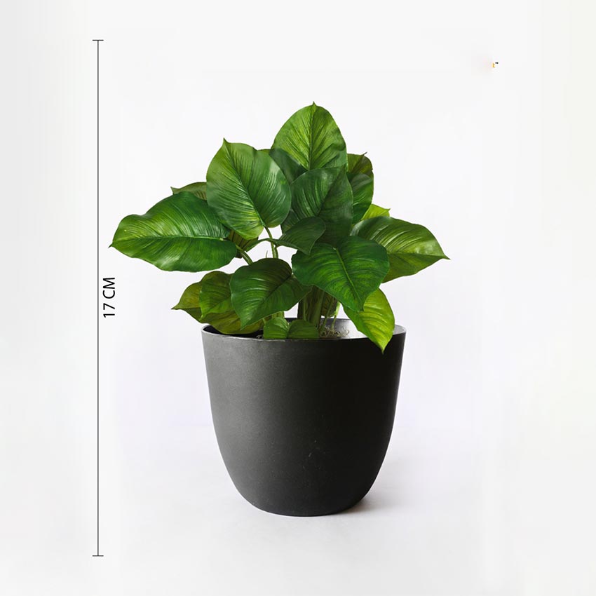Modern Stackable Matte Black Round Pots Without Plant | 7 x 4 inches