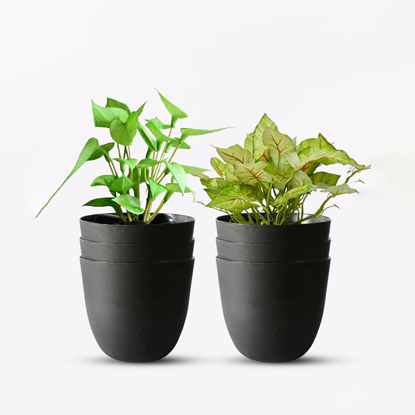 Modern Stackable Matte Black Round Pots Without Plant | 7 x 4 inches