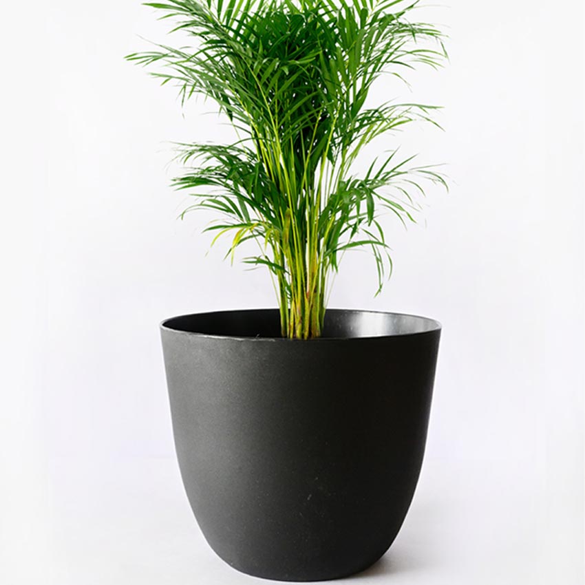 Modern Stackable Matte Black Round Pots Without Plant | 7 x 4 inches