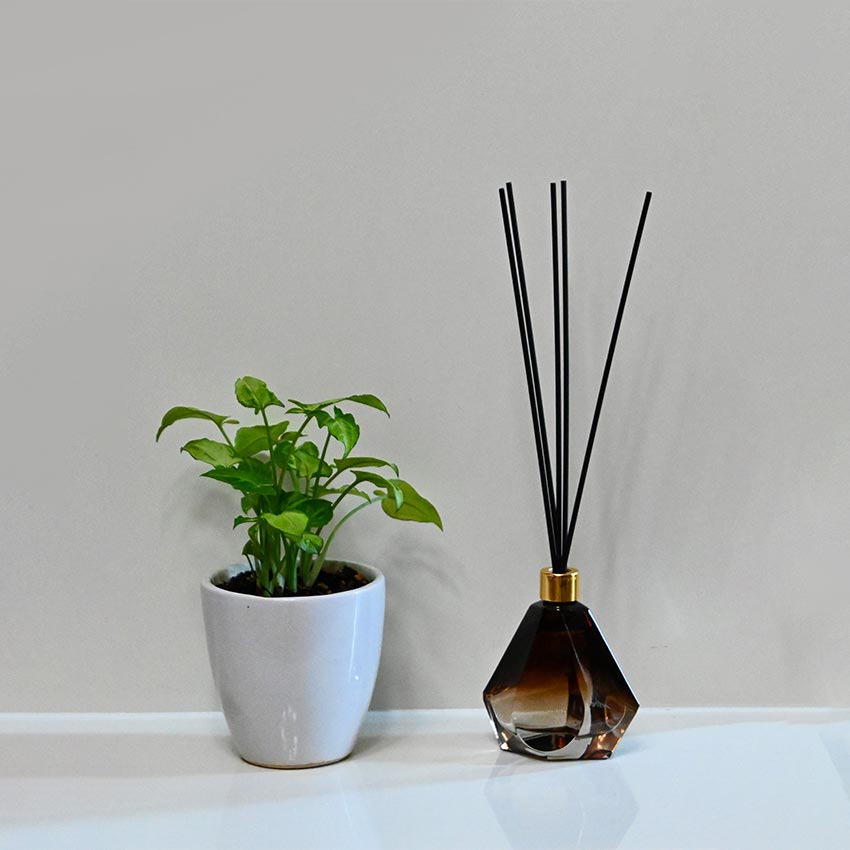 Mystic Aura Black Glass Bottle Oil Reed Diffuser & Sticks | 2 x 2 x 4 inches | 100 ml