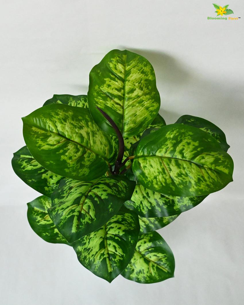 Seguine Dieffenbachia Polyester Artificial Plant with Pot | 15 Leaves | 2 Feet