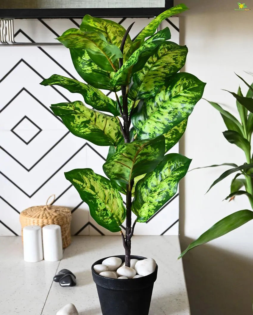 Seguine Dieffenbachia Polyester Artificial Plant with Pot | 15 Leaves | 2 Feet