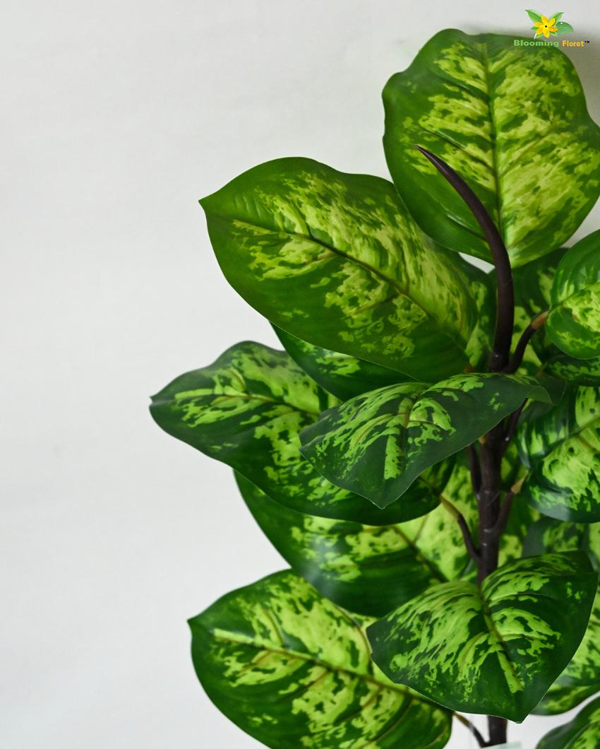 Seguine Dieffenbachia Polyester Artificial Plant with Pot | 15 Leaves | 2 Feet