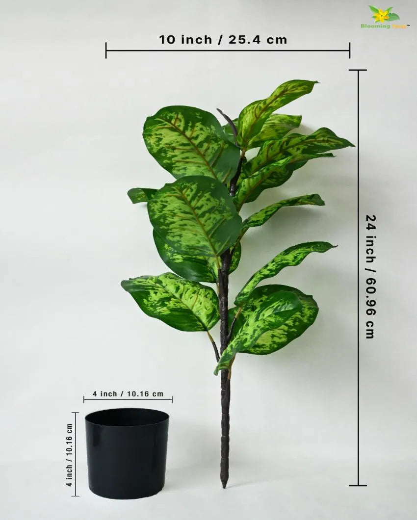 Seguine Dieffenbachia Polyester Artificial Plant with Pot | 15 Leaves | 2 Feet