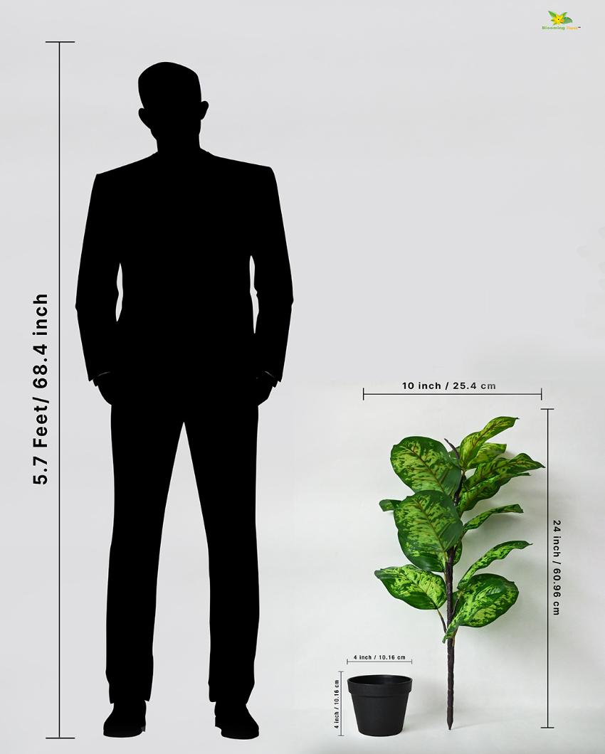 Seguine Dieffenbachia Polyester Artificial Plant with Pot | 15 Leaves | 2 Feet