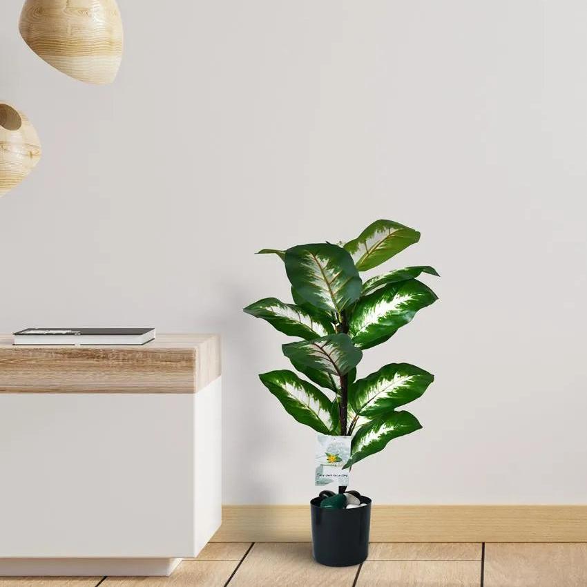 Camille Dieffenbachia Artificial Plant with Pot | 15 Leaves | 2 feet