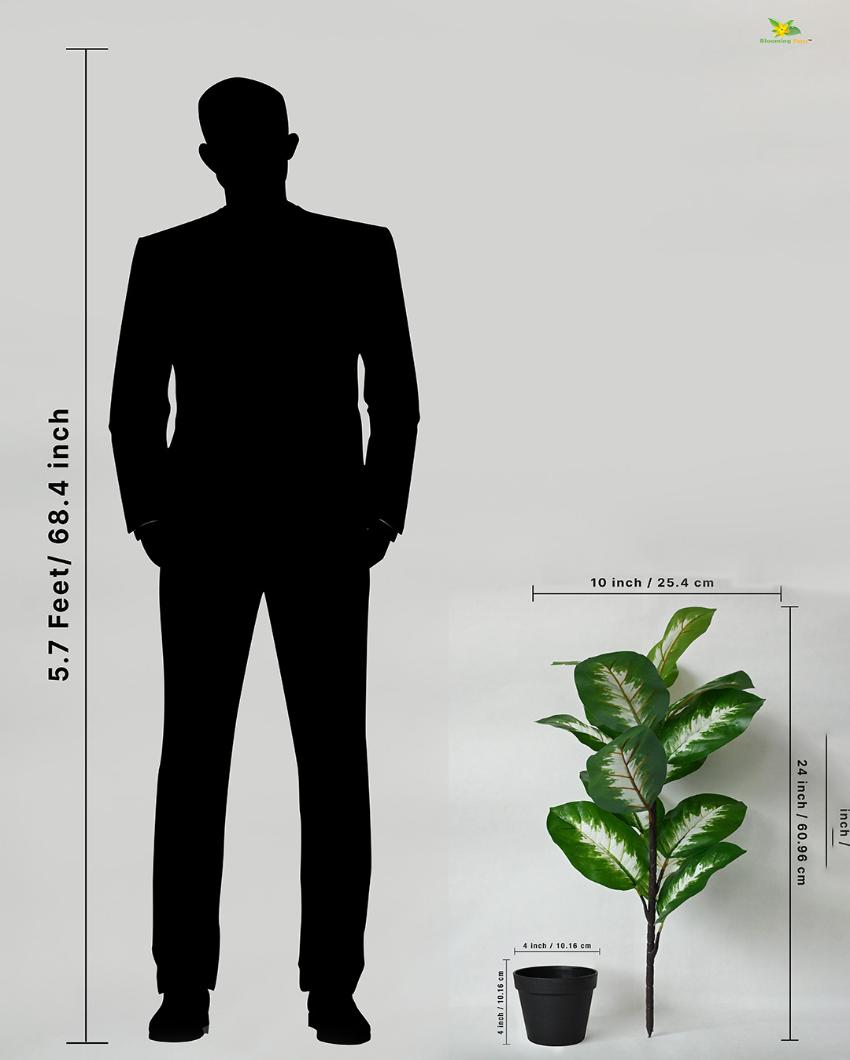 Camille Dieffenbachia Artificial Plant with Pot | 15 Leaves | 2 feet